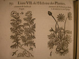 illustration 5