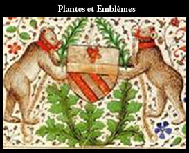 accès plantes et emblèmes