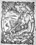 marques_la_rose_vignette_7