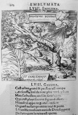 illustration 11