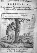 illustration 12