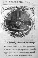 grenade